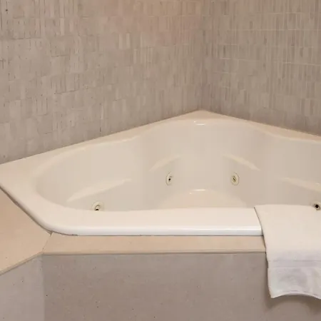 Holiday Inn Monclova By Ihg-3