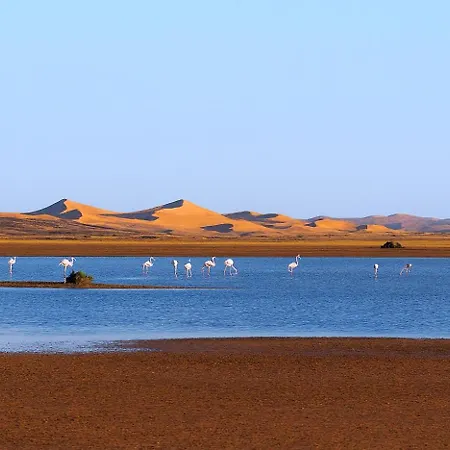 Maison Merzouga Guest House-2