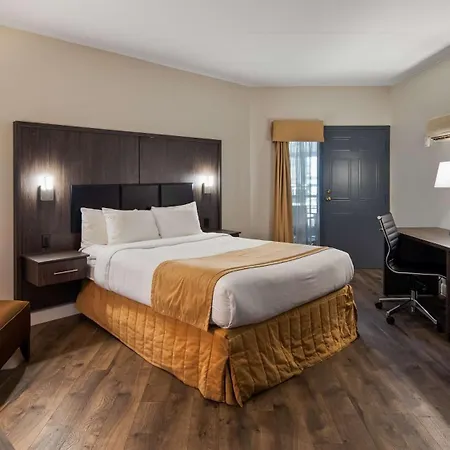 Best Western Laval-Montreal-3