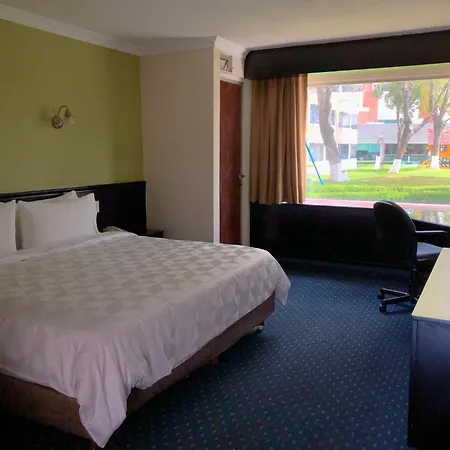 Holiday Inn San Luis Potosi-Quijote By Ihg-2