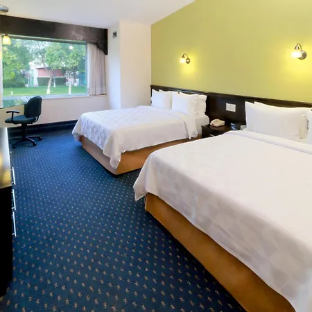 Holiday Inn San Luis Potosi-Quijote By Ihg-3