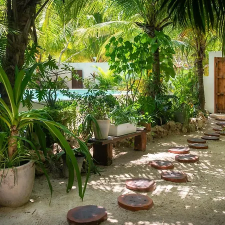 El Corazon Boutique Hotel - Adults Only With Pool & Beach Club Access-2