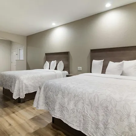 Red Roof Inn Plus + Galveston - Beachfront-3