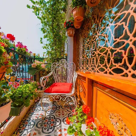 Walnut Shell Hotel - Old City Sultanahmet-2