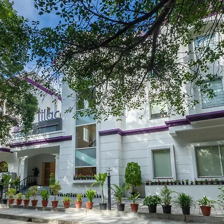 Lilac By Tamara 3Rd Block Jayanagar-2