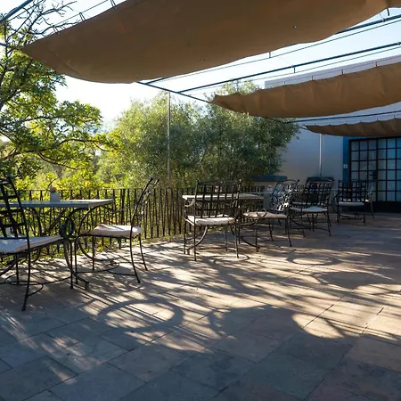 Olive Grove Guesthouse-3
