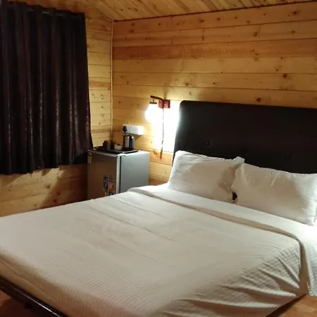 Lazy Frog Guest House-3