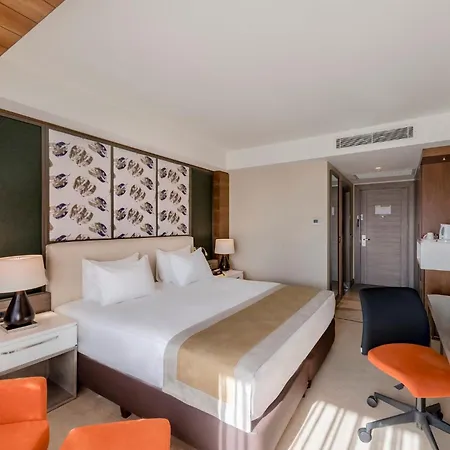Holiday Inn Kayseri - Duvenonu By Ihg-2
