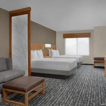 Hyatt Place Orlando Lake Buena Vista-2