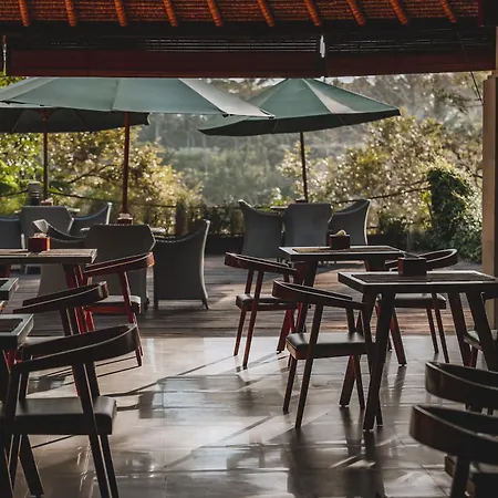 The Hidden Paradise Ubud - Chse Certified-2