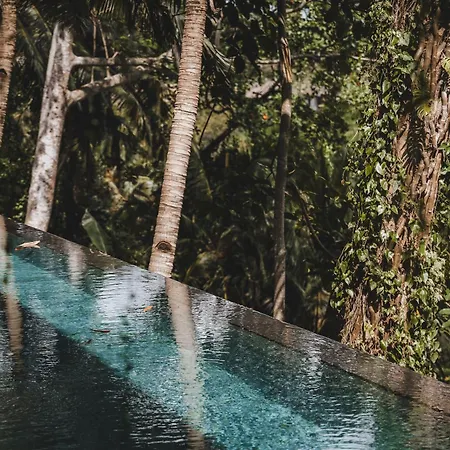 The Hidden Paradise Ubud - Chse Certified-2