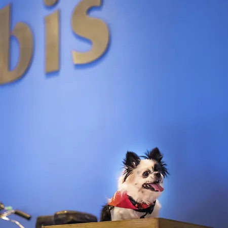 Ibis Kolkata Rajarhat - An Accor Brand-2