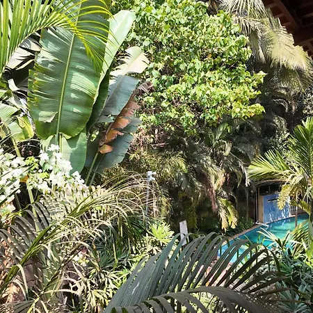 Tangerine Boutique Resort-3