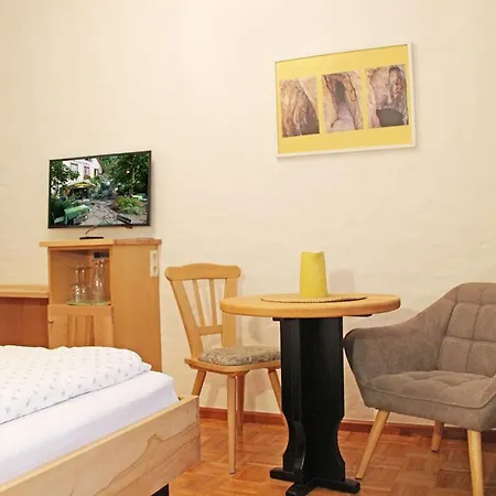 Hotel-Bio Gasthaus Am Felsenkeller-3