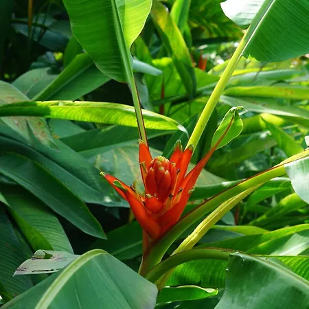 Pu Luong Natura-3
