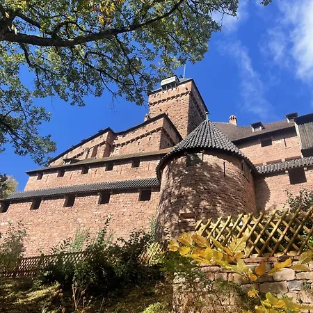 Le Manoir des Sens - Forêt de Bergheim-2