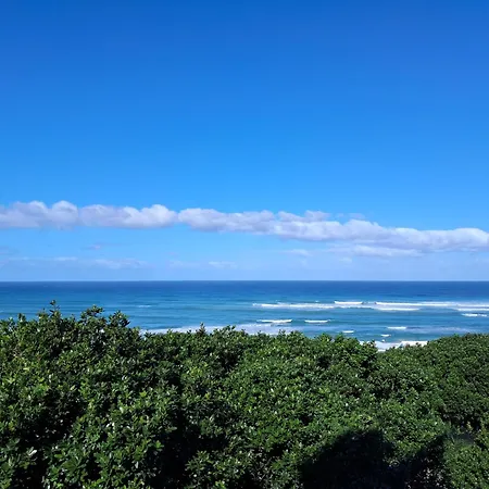 The View-3