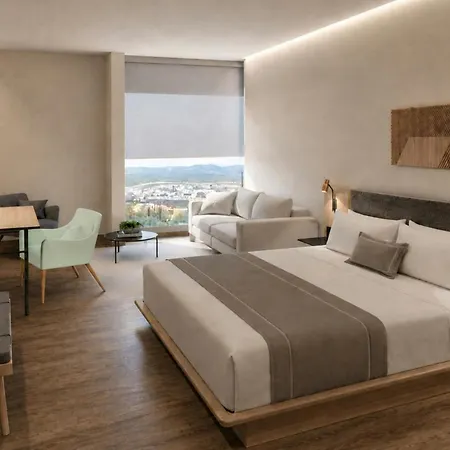 City Express Plus By Marriott San Luis Potosi-2