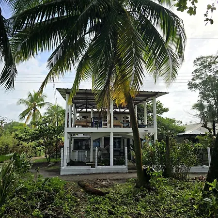 Hotel Pura Natura Beachfront Tortuguero-2
