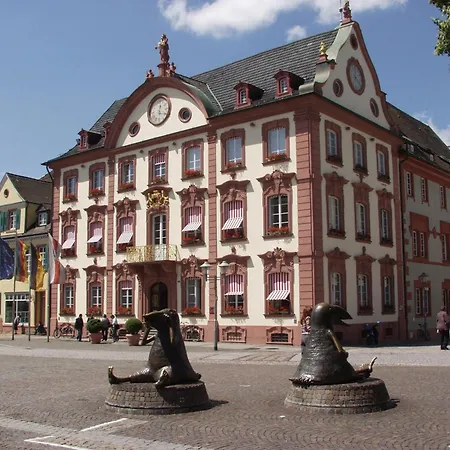 Holiday Inn Express - Offenburg By Ihg-2