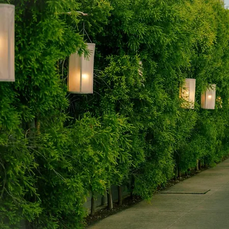 Amiri Place Hotel-2