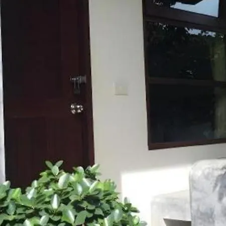 Lucky Mother Bungalow-2