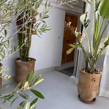 Riad 24-2