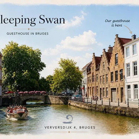 Sleeping Swan-3