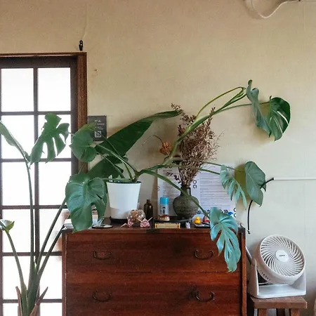 Yururito Guesthouse-2