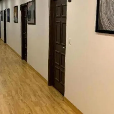 Loft 24-3