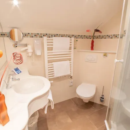 Logis Gourmet&Relax Wellness Hotel De La Sure-2