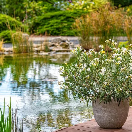 Budapest Airport Hotel Stacio Wellness & Konferencia-2