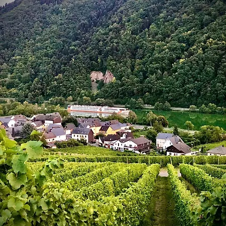 Hotel Weingut Dehren-2