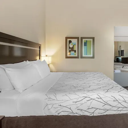 Best Western Plus Travel Hotel Toronto Airport-2