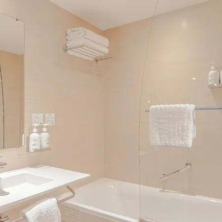 Holiday Inn Mulhouse By Ihg-3