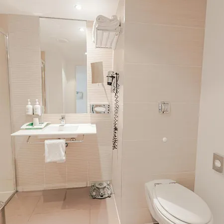 Holiday Inn Mulhouse By Ihg-2