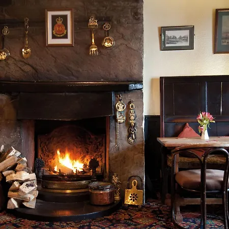 Bear Crickhowell-2