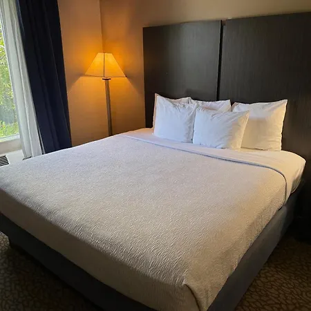 Comfort Inn & Suites Bradenton North I-75-2