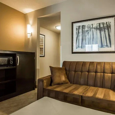 Comfort Suites Huntersville Near Lake Norman-2