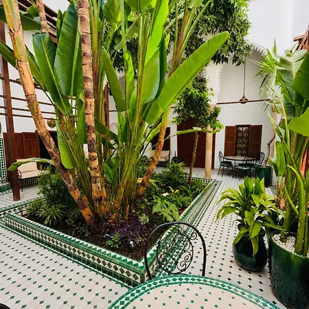 Riad El Maâti-3
