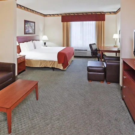 Holiday Inn Express Hotel & Suites Dallas Lewisville By Ihg-3