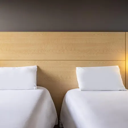 Ibis Chihuahua-3