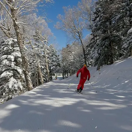 Chalet Shiga-3