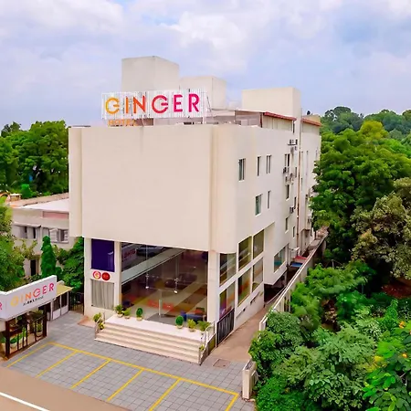 Ginger Bhavnagar-2