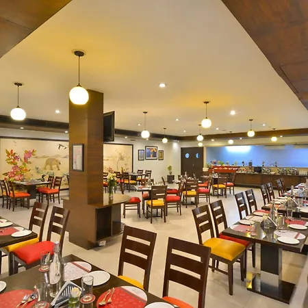 Ginger Bhavnagar-3