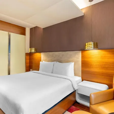 Park Plaza Shahdara-2