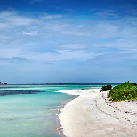 Batuta Maldives Surf View-3