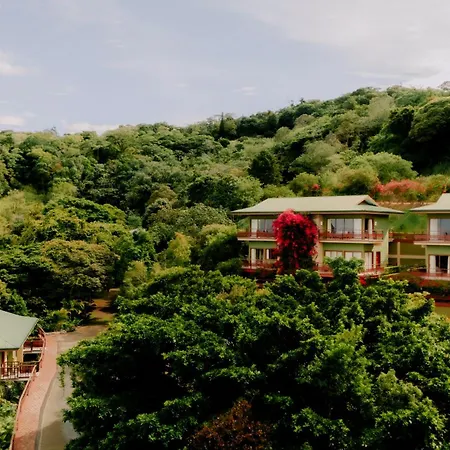Ficus Sunset Suites-2