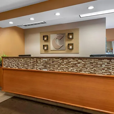 Comfort Inn & Suites Orlando North-3