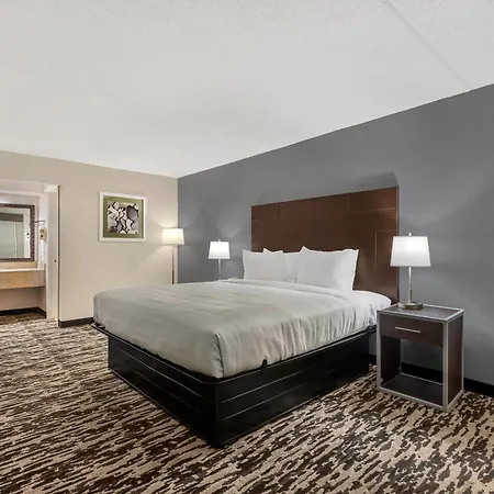Quality Inn & Suites Easley - Greenville-2
